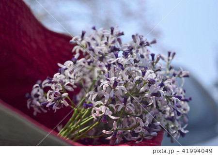 薫り アロマ アロマテラピー 41994049