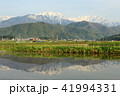 春の北アルプス 41994331