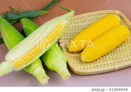 とうもろこし 41994649
