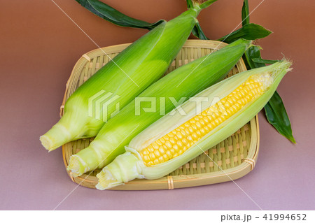 とうもろこし 41994652