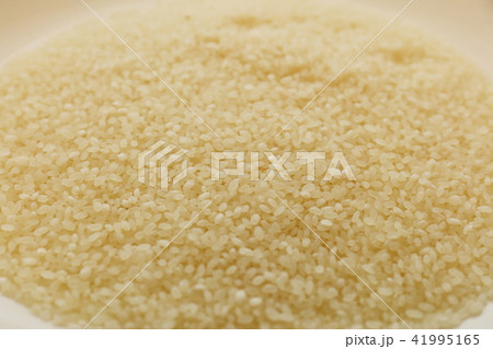 お米のイメージ写真 41995165
