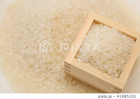 お米のイメージ写真 41995201