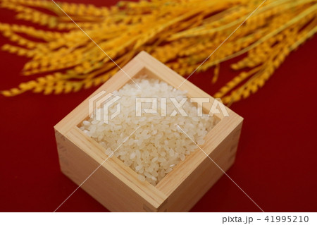 お米のイメージ写真 お米のイメージ写真 41995210