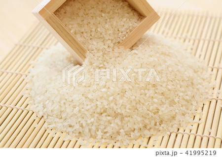 お米のイメージ写真 41995219