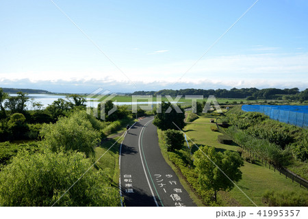 千葉県、手賀沼自然ふれあい緑道 千葉県、手賀沼自然ふれあい緑道 41995357