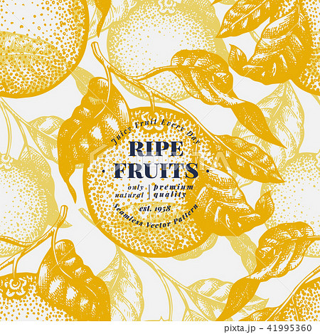 Orange tree seamless pattern. Hand drawn vector fruit illustration. Engraved style. Vintage citrus 41995360