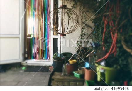 Festive garden decoration 41995468