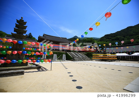 華厳寺 韓国 寺院 41996299