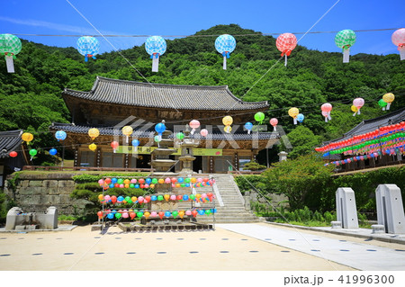 華厳寺 寺院 提灯 41996300