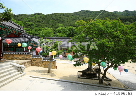 華厳寺 韓国 寺院 41996362