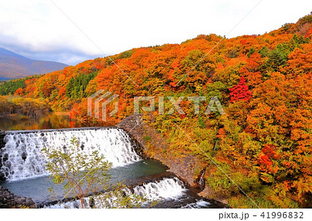 紅葉の横川渓谷 紅葉の横川渓谷 41996832