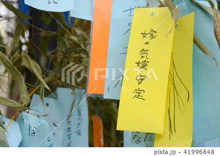七夕の短冊 41996848