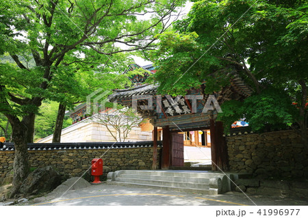 華厳寺 韓国 寺院 41996977