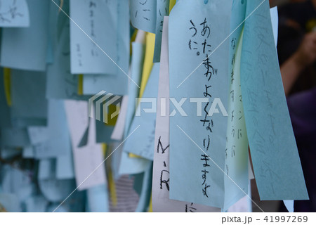 七夕の短冊 七夕の短冊 41997269