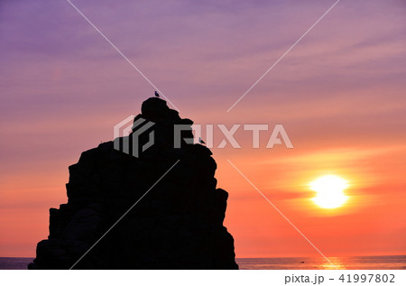 千畳敷海岸 41997802