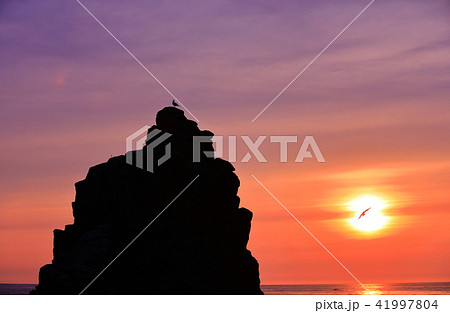 千畳敷海岸 41997804