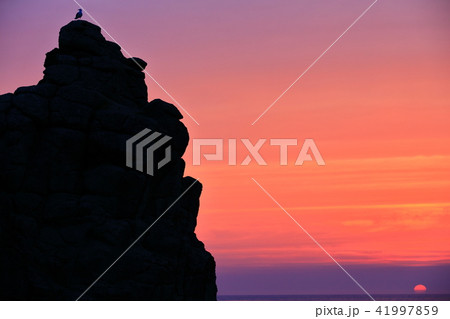 千畳敷海岸 41997859