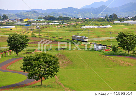 田んぼアート 41998014