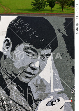 田んぼアート 田んぼアート 41998024