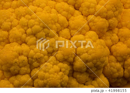Closeup photo of yellow cauliflower Closeup photo of yellow cauliflower 41998155