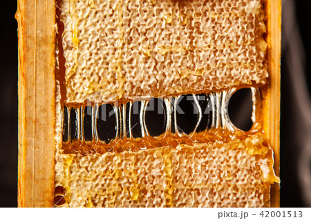 Honeycomb in a wooden frame 42001513