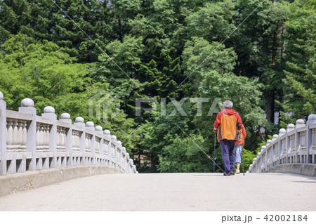 散歩 旅行 森 42002184