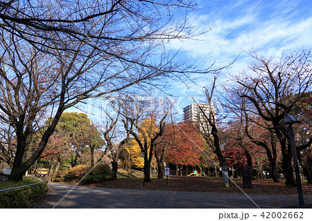 飛鳥山公園の紅葉の写真素材