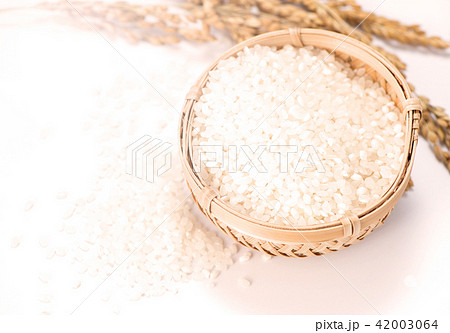 水田 米 稲 42003064