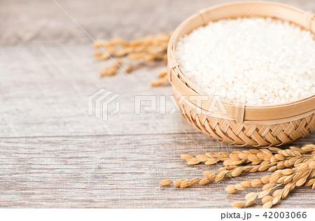 水田 米 稲 42003066