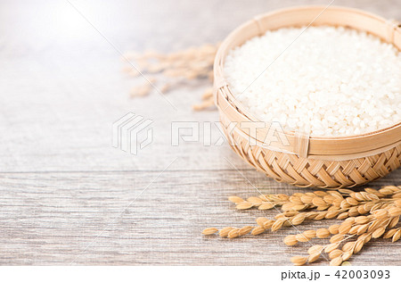 水田 米 稲 42003093