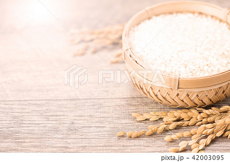 水田 米 稲 42003095