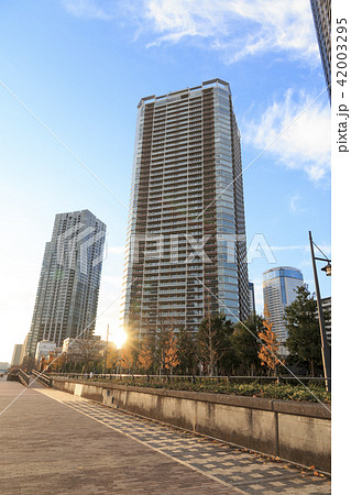 隅田川の秋 42003295