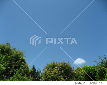 空 空 42003440