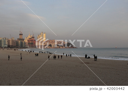 釜山 広安里 夕暮れ 42003442