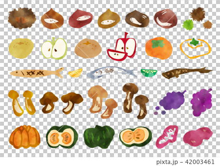 筆書き 秋の味覚セット 水彩のイラスト素材