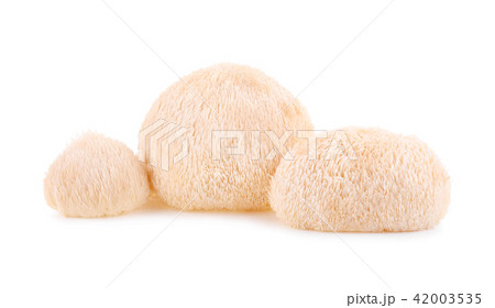 Lion mane mushroom isolated on white background 42003535