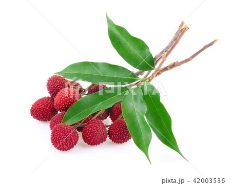 lychee isolated on white background 42003536
