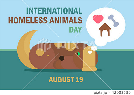 International Homeless Animals Day 42003589