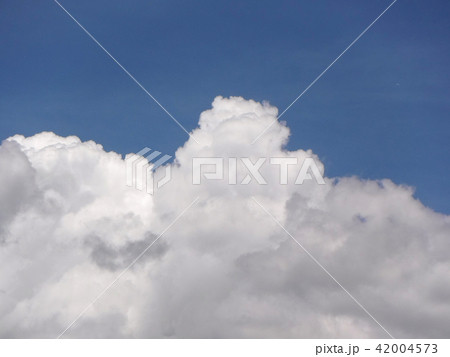 夏雲１ 42004573