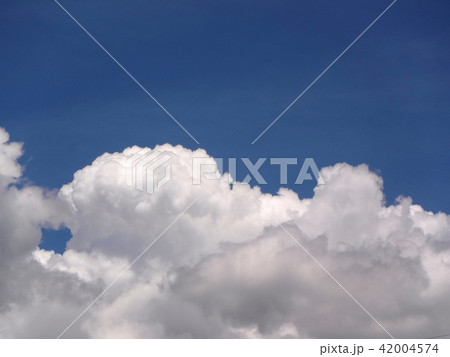 夏雲２ 42004574