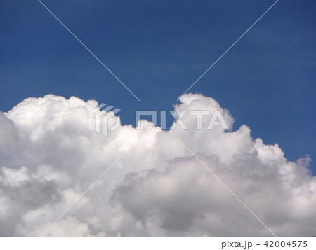 夏雲３ 42004575