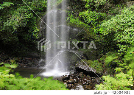 夕日の滝 42004983