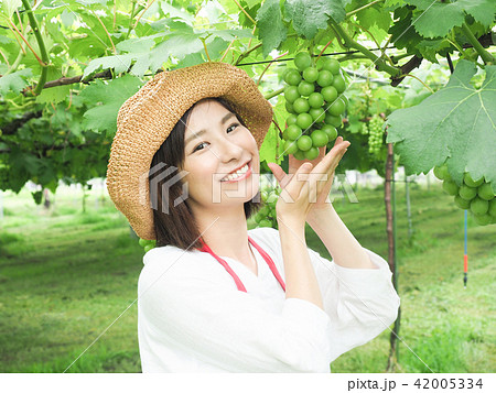 ぶどう園のぶどうに手を添える女性 42005334