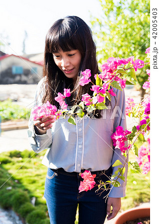 台湾 女性 メス 42005403