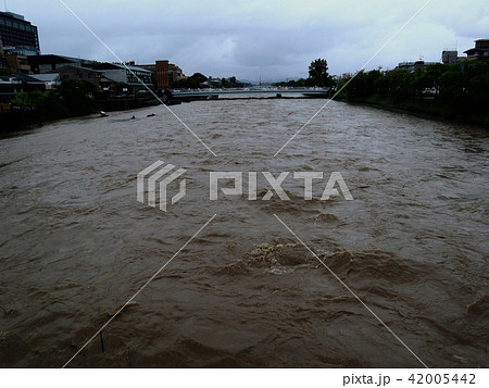平成30年7月豪雨の際の鴨川、三条大橋から_2018年7月6日16時撮影 42005442