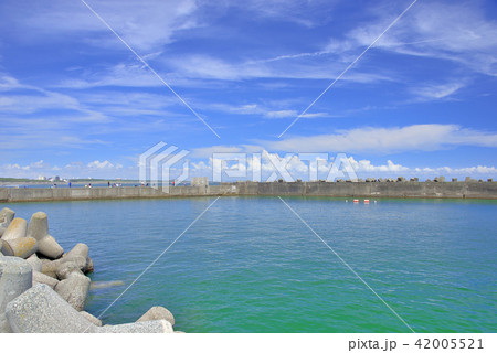 夏の海／湘南 42005521