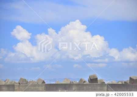 夏空/湘南 夏空/湘南 42005533