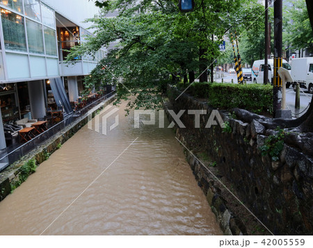 平成30年7月豪雨の際の高瀬川の増水_2018年7月6日16時撮影 平成30年7月豪雨の際の高瀬川の増水_2018年7月6日16時撮影 42005559