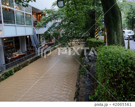 平成30年7月豪雨の際の高瀬川の増水_2018年7月6日16時撮影 42005561