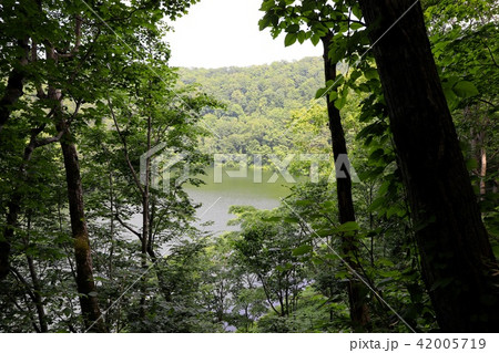木々の向こうに見える半月湖 42005719